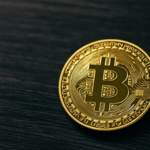 Bitcoin’s 4-Year Cycle Might be Breaking: 2025 Market Insights and Price Predictions